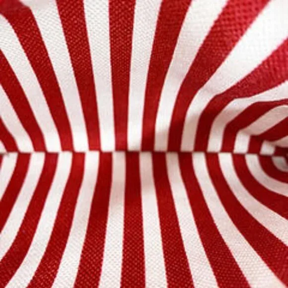 Prada Canvas Tote Canapa Tote Bag Red - Picture 12 of 13